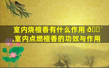 室内烧檀香有什么作用 🌴 ,室内点燃檀香的功效与作用